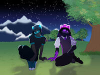 Stargazing